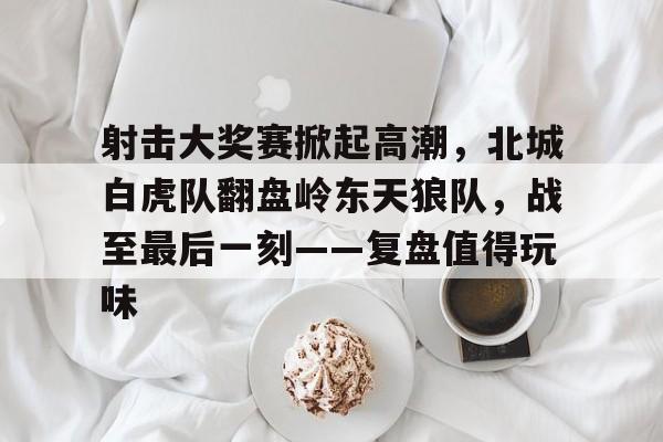 射击大奖赛掀起高潮，北城白虎队翻盘岭东天狼队，战至最后一刻——复盘值得玩味的简单介绍