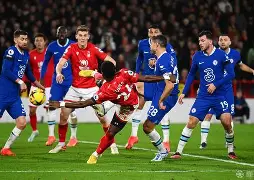 开云app-战争与和平中的安德烈公爵